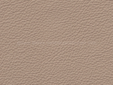 Basis für BMW hellbeige