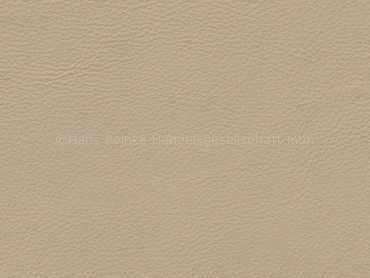 Audi FN samtbeige