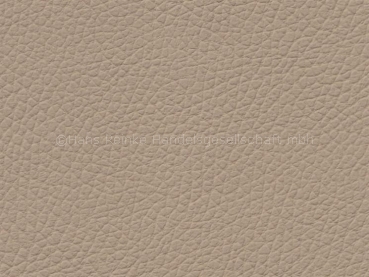 Basis for BMW Dakota savannabeige