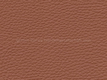 Basis für BMW Ambiente terracotta