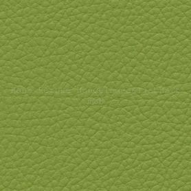 Skai Toronto EN olive green 140 cm 30 lfm pro Rolle