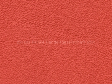 Royal mandarine