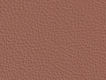 Lord camel 140 cm  30 lfm pro Rolle