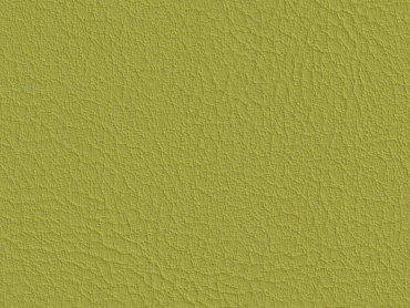 Contessa lentil 140 cm  30 lfm pro Rolle