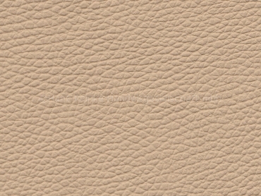 VW sonnenbeige Cricket special color