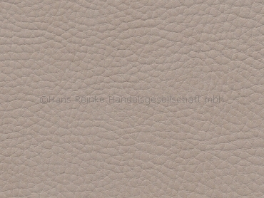 Skai Sotega birke (King K2721) 150 cm 30 lfm pro Rolle