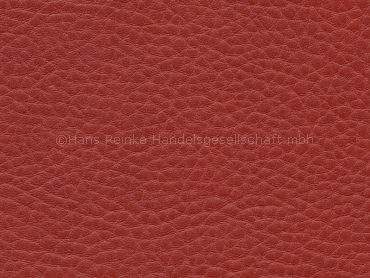 Skai Sotega lachs (King K2725) 150 cm 30 lfm pro Rolle