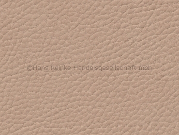 Skai Sotega kiesel (King K2736) 150 cm 30 lfm pro Rolle