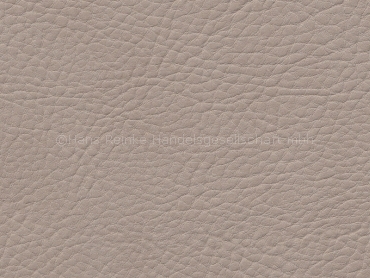 Skai Sotega FLS birke 150 cm  30 lfm pro Rolle