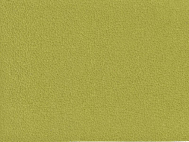 Skai Toronto EN lime 140 cm 30 lfm pro Rolle