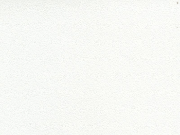 Skai Tovega EN staynu white 140 cm 30 lfm pro Rolle