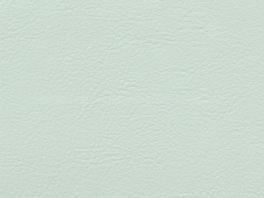 Skai Neptun-Caleri lightgreen 140 cm  30 lfm pro Rolle