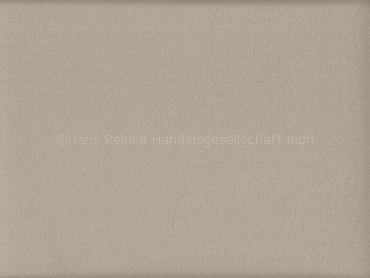 Skai Evida birch 137 cm  30 lfm pro Rolle