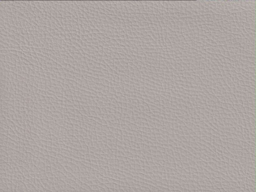Basis Automobilkunstleder Lugano kristallgrau 140 cm Breite Rolle 30 lfm