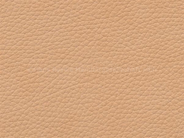 Prince camel 140 cm  30 lfm pro Rolle