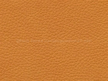 Prince mango 140 cm  30 lfm pro Rolle