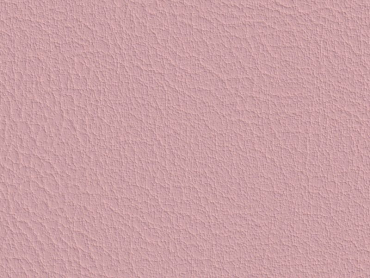 Contessa rose 140 cm  30 lfm pro Rolle